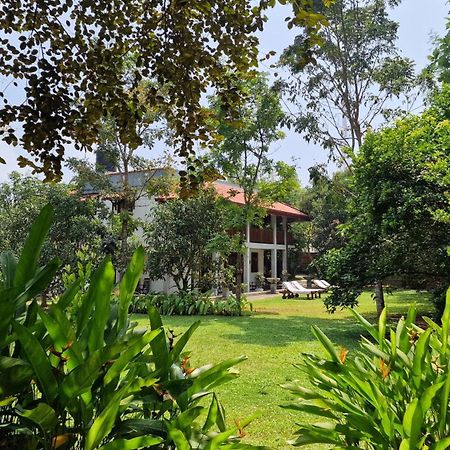 Villa Arana Bentota Ngoại thất bức ảnh