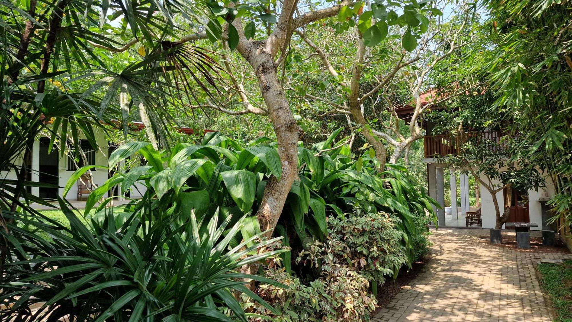 Villa Arana Bentota Ngoại thất bức ảnh