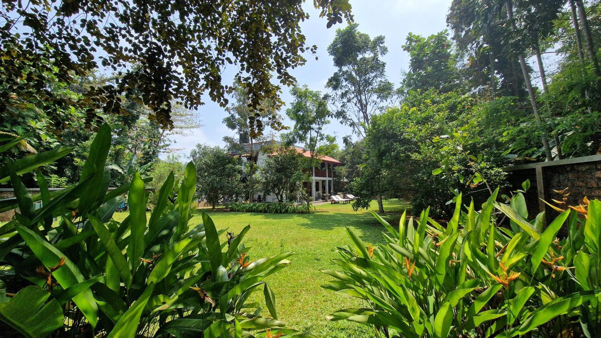 Villa Arana Bentota Ngoại thất bức ảnh